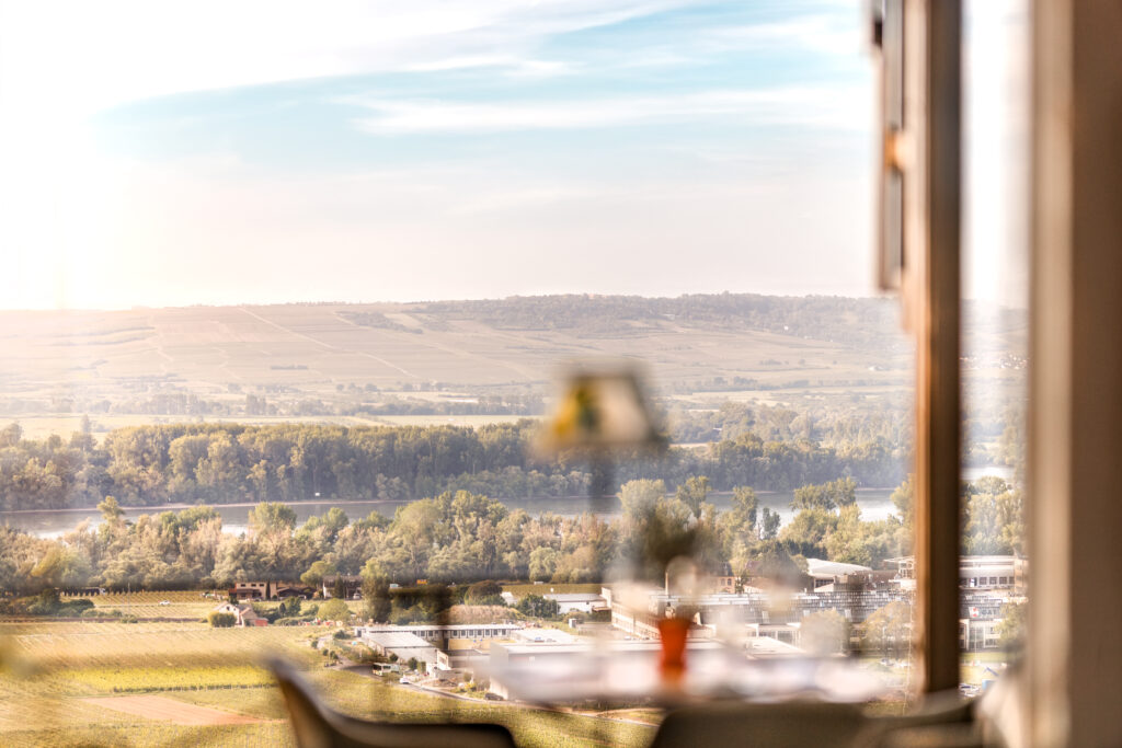 Restaurant Rheingau