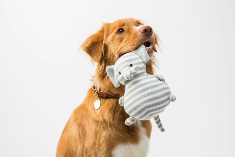 Golden Retriever hält ein Plüschspielzeug im Maul