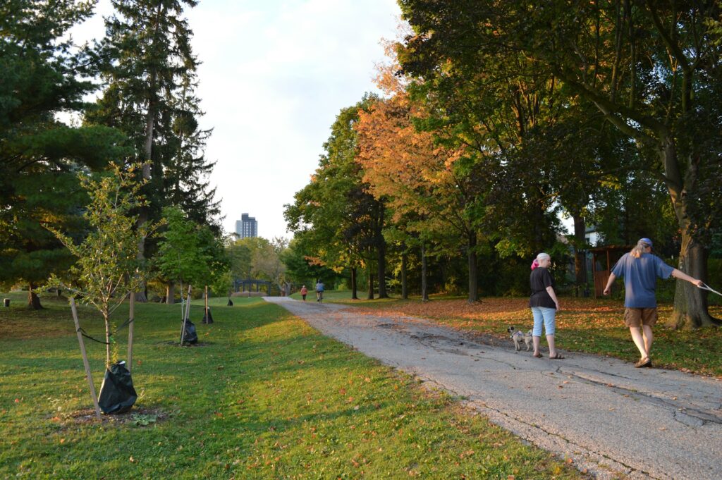 Zwei Personen gehen mit ihrem Hund auf einem Parkweg spazieren