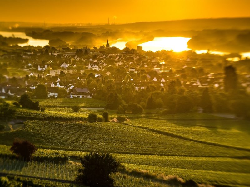 08-a-Sundowner